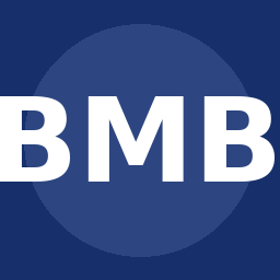 Bhartiya Mahanagar Bank Prabhaviikaran Karyakshiyon Sansthaon